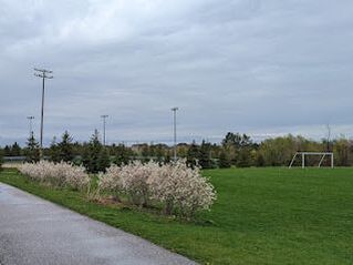 Soccer field lined by some shrubs in Berczy Village, Markham, Ontario