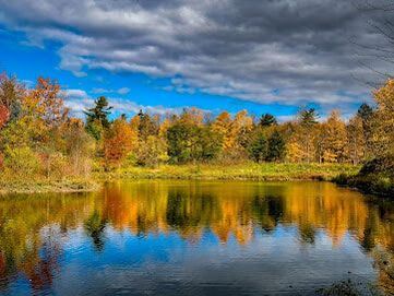 Large pond lined by trees in the fall in Cachet, Markham, Ontario