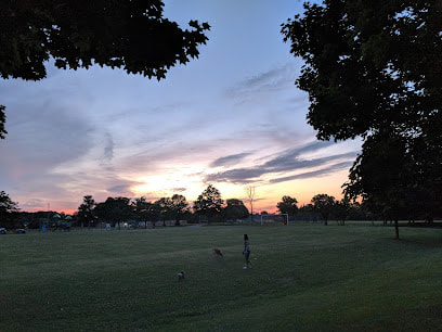 Wide open green field at dusk in Raymerville-Markville East, Markham, Ontario